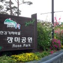 곡성-113 네이버블로그