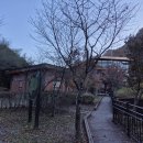 생태숲학습관 1층 | 금산 산림문화타운 생태숲학습관에서 곤충을 접하다