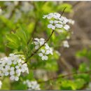 청구개발공인중개사사무소 이미지