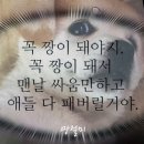크레이지모토박스 | 시흥] 배곧 크레이지모토박스에서 다이네즈 장갑을 구매했어요. (선물 받았당 헤헷)💕