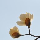 언덕위하얀어린이집 이미지