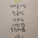 다산가람초등학교 이미지
