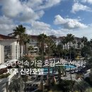 새신라체육관 | [제주/제주 신라호텔] 24년·25년, 2년 연속 가을 호캉스 여행으로 신라호텔을 선택한 이유