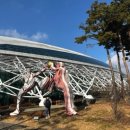 고양체육관 농구장2 | [KBL 직관 후기] 고양 소노 에이스 이정현, 언더독을 응원하게 된 이유 (ft. 올드팬) / 소노아레나 프로...