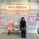 Shall We Dance | ⭐️ 유우시 생카투어🩵🤍