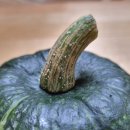 디제이팜 이미지