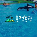 용정농원 네이버블로그