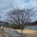 금남리강변산책카페 | 금남리 북한강뷰 넓은야외 잔디 베이커리 카페 추천 내돈내산 방문후기