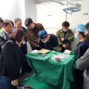 이(E)-메디칼 이미지