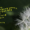 (주)월드트레비즈