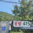 꽃밭415 이미지