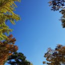 리틀버터 이미지