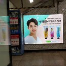 자일 이미지