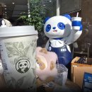 한국웰빙건강 | 부산 서면 차백도 1호점, 웰빙 차 음료와 오픈 이벤트 후기