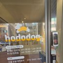 발바닥애견카페 | 인천 애견카페 연수동 🐶 강아지 들의 천국 슬개골 안심 놀이터 호도독 애견카페 방문후기 🐕