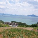 김병석공인중개사사무소 이미지