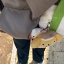 (주) 로그 | 🩰발레로그 | ❸ 다들 어떻게 주4회씩 하세요..? ; 가랑이 찢어지는 후기