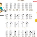 제주도 푸른밤 이미지