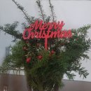 새하림각 이미지