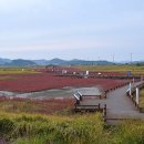 천일염힐링캠프 이미지