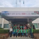 조동천 이미지