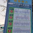 부산 가볼만한곳 감천문화마을 풍등축제 상세후기