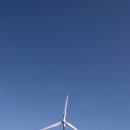 일월목장 이미지