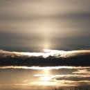 일출농장 이미지