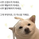 홍대쌀국수(방학점) | 여름방학이 왔어염