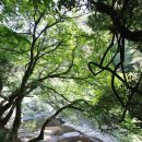 안덕버스정류장 이미지