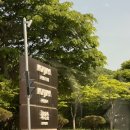 비고리조트 19 이미지