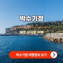 기정 티스토리