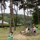 욜로카롱