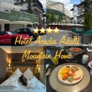 우의중국식품 | 돌로미티 신혼여행 숙소 추천 세체다 4성급 호텔 Hotel Acadia Adults Mountain Home 숙박 후기