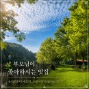 산정송어 | 익산 웅포 맛집 산정호수가든, 부모님이 좋아하시는 송어회·매운탕 맛집 🐟🌿