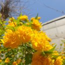 통진공중화장실 이미지