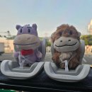 더월광주점 | 엔플라잉 / 260606, 0607 부산 어썸 스테이지 기록
