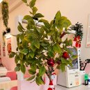 최고당 돈가스 하남미사점 이미지