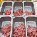 노블라인 도베르만 이미지