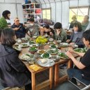 달뿌리집 | 숨과 쉼이 되었던 보물 같은 기억