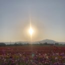 평남면옥 이미지