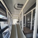 더블레싱 23 이미지