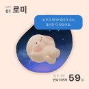 (주)극동이씨티 | [임신일기] 26년 5월 기록 | 31주 부산 태교 여행 - 맛집, 숙소, 산모 미역 구매