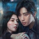 경성여우 티스토리