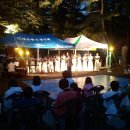 대송면 홍계숲 이미지