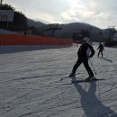 웰리힐리 스키장 이미지