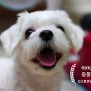 나무동물병원 이미지
