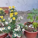 구포전화국1 이미지