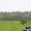 시내목장 이미지