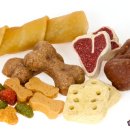 파이 행정사사무소 이미지